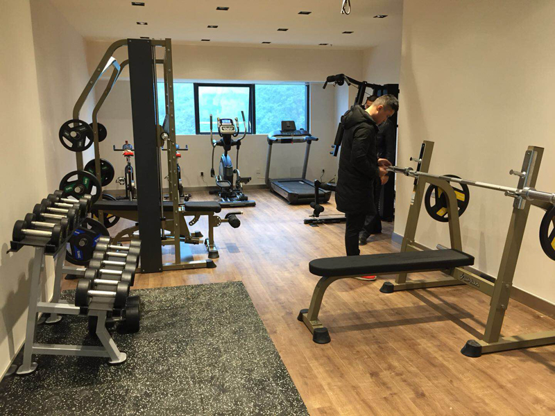 室内健身器材,单位健身器材,健身器材十大品牌-广西米兰·(milan)中国健身器材有限公司