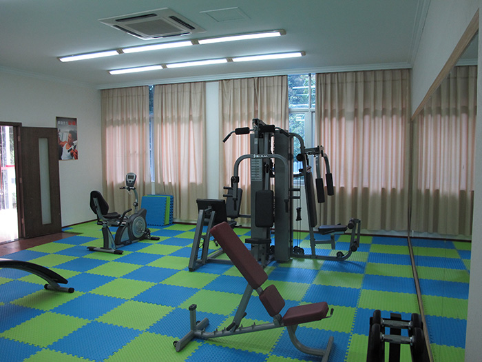 室内健身器材,单位健身器材,健身器材十大品牌-广西米兰·(milan)中国健身器材有限公司