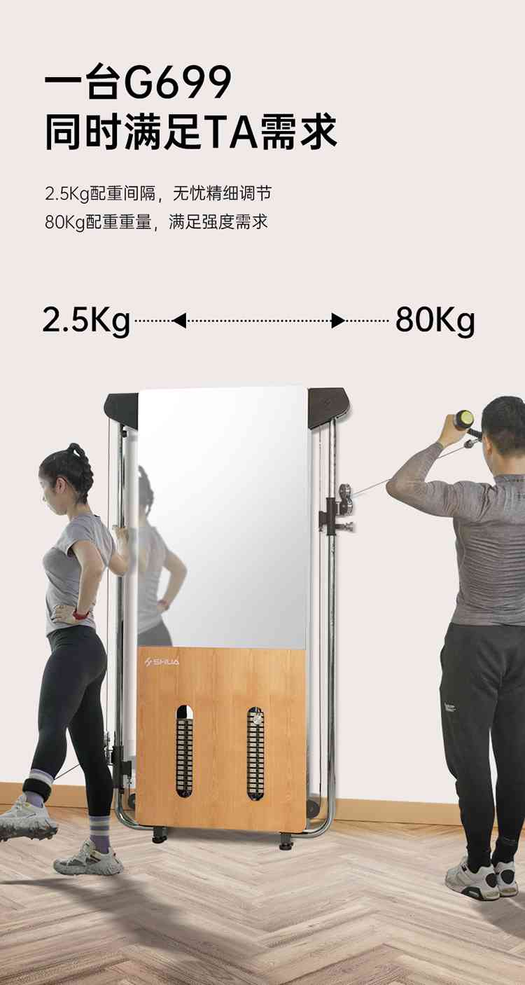 SH-G699 壁挂式拉绳训练器-广西米兰·(milan)中国健身器材有限公司