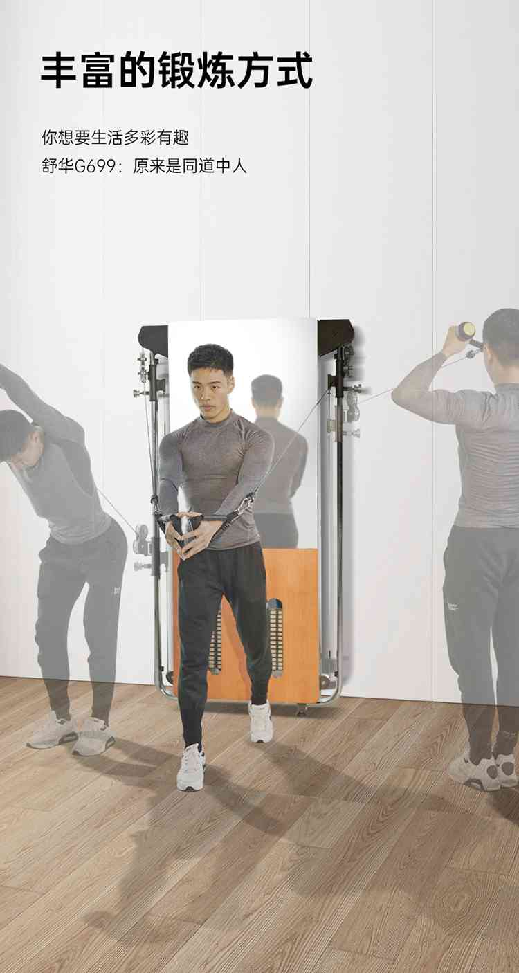 SH-G699 壁挂式拉绳训练器-广西米兰·(milan)中国健身器材有限公司