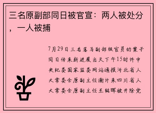 三名原副部同日被官宣：两人被处分，一人被捕