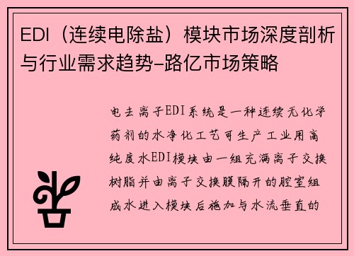 EDI（连续电除盐）模块市场深度剖析与行业需求趋势-路亿市场策略