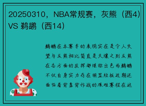 20250310，NBA常规赛，灰熊（西4）VS 鹈鹕（西14）